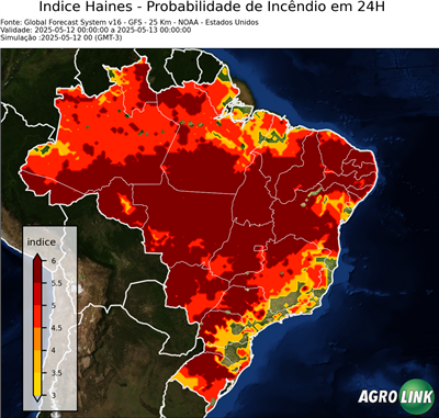 24 horas