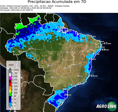 7 dias