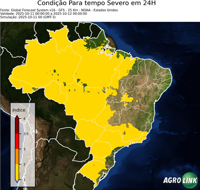 24 horas
