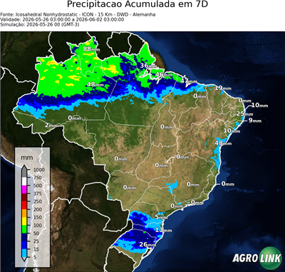7 dias