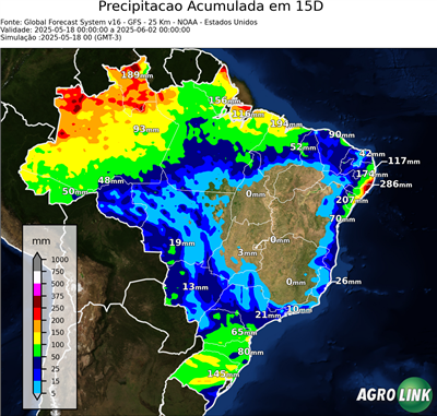15 dias