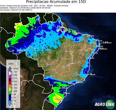 15 dias