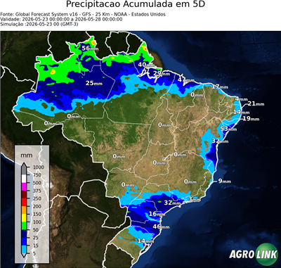 5 dias