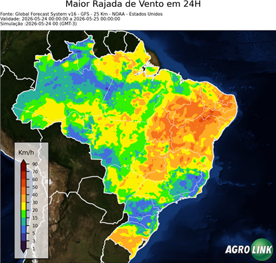 24 horas