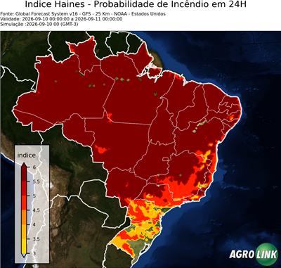 24 horas