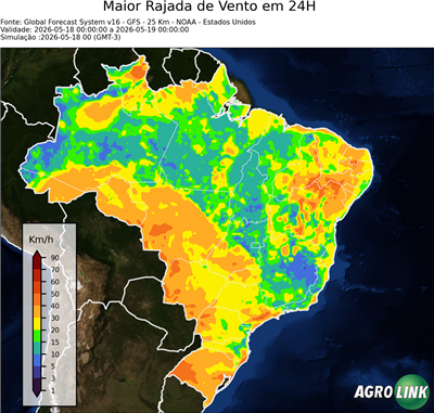 24 horas