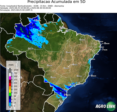 5 dias