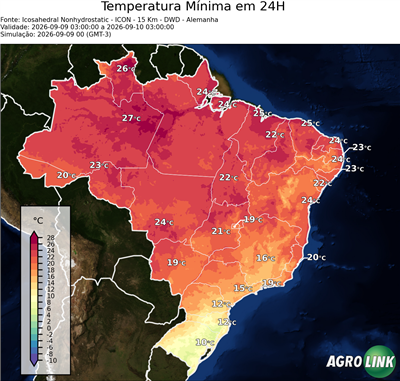 24 horas