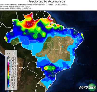 15 dias