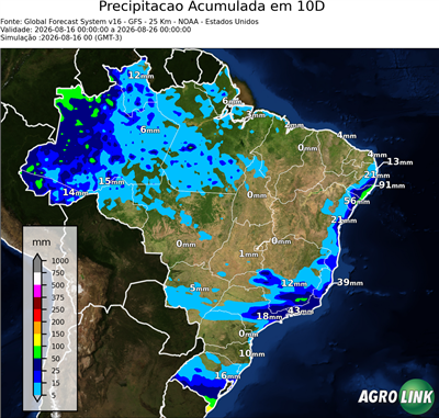 10 dias