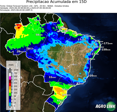 15 dias