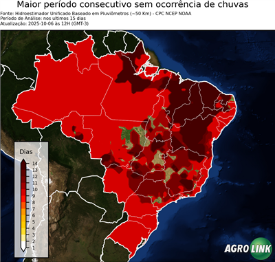 15 dias