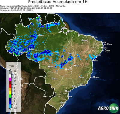 1 hora