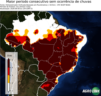 5 dias