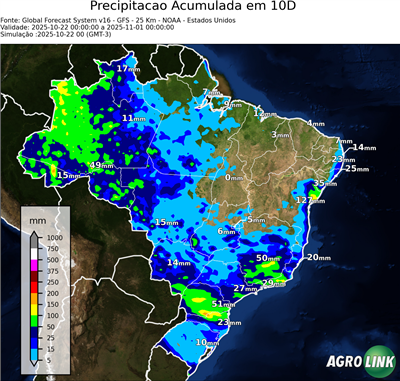 10 dias