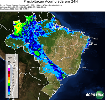 24 horas