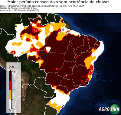 5 dias