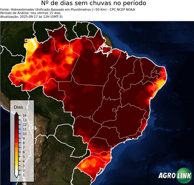15 dias
