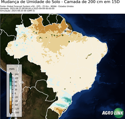 15 dias