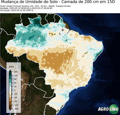 15 dias
