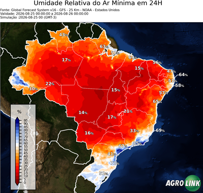 24 horas