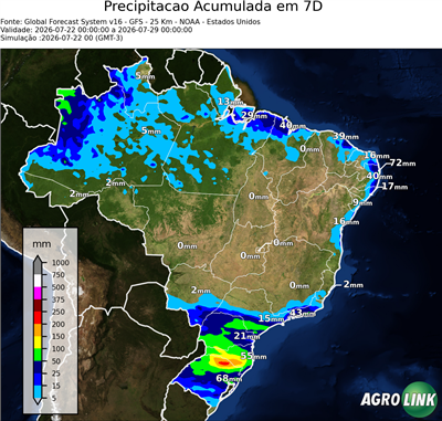 7 dias