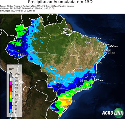 15 dias