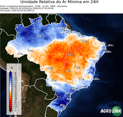 24 horas