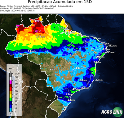 15 dias