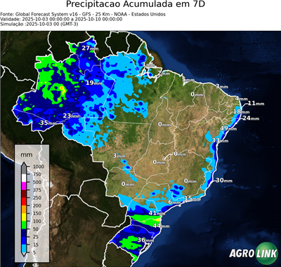 7 dias