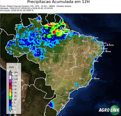 12 horas