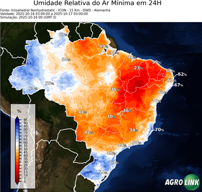 24 horas