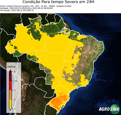 24 horas
