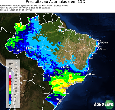15 dias