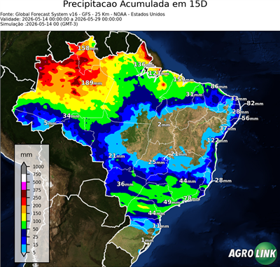 15 dias