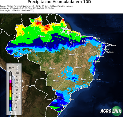 10 dias