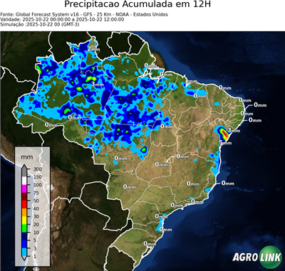 12 horas
