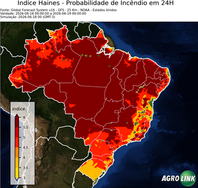 24 horas