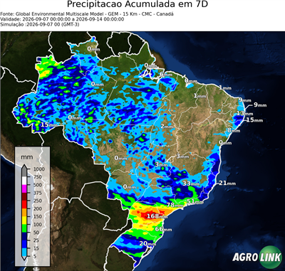 7 dias