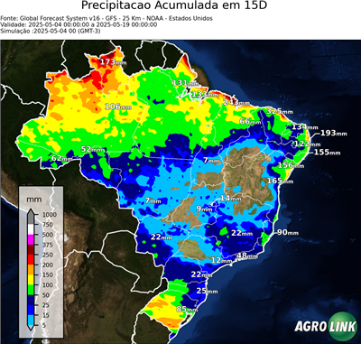 15 dias
