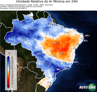 24 horas