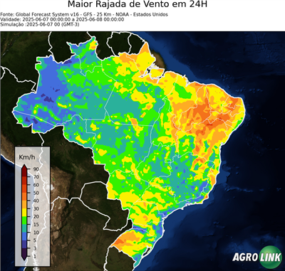 24 horas