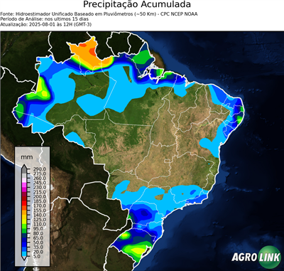 15 dias