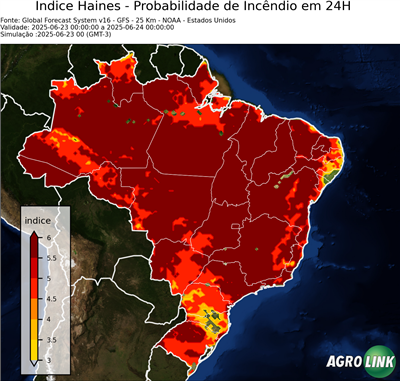 24 horas