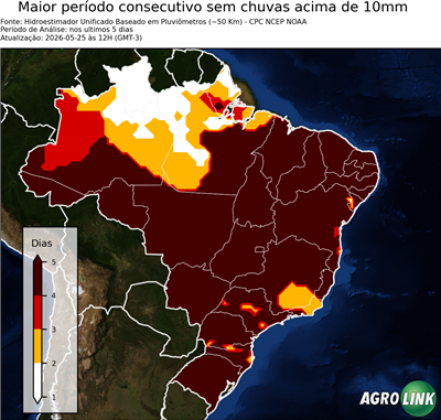 5 dias