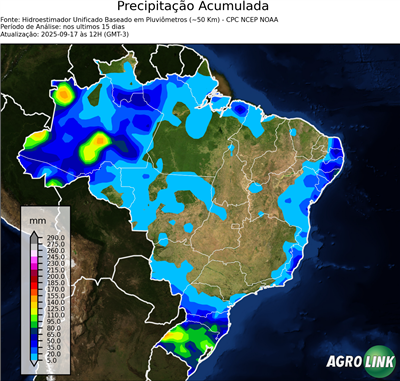 15 dias