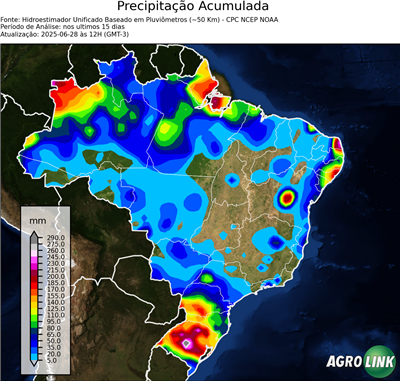 15 dias