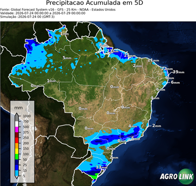 5 dias