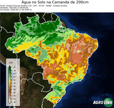 24 horas