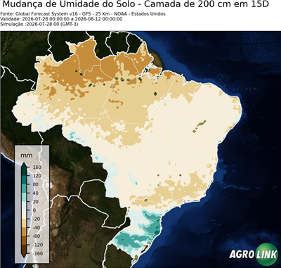 15 dias